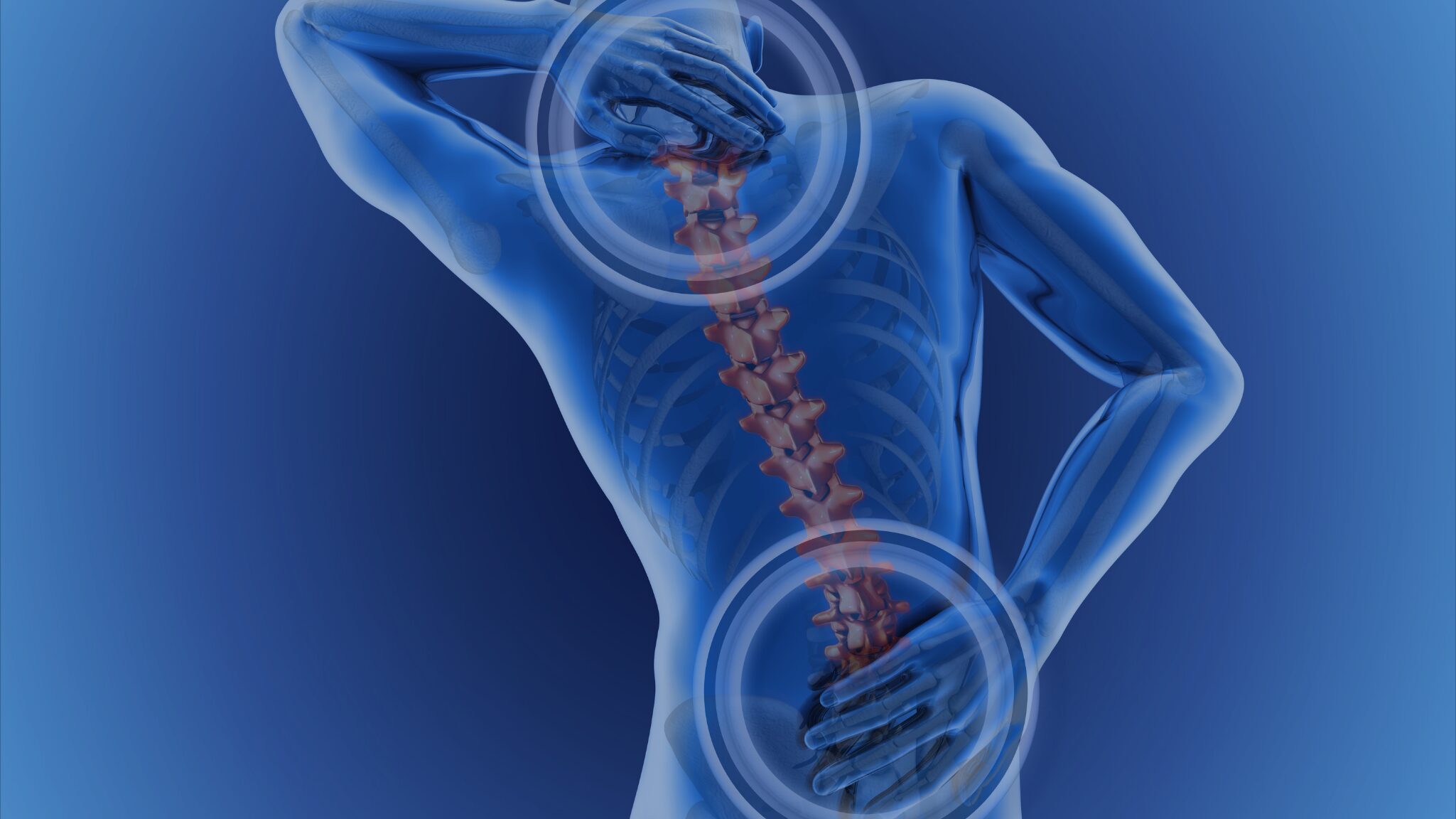 spine-circle-slide